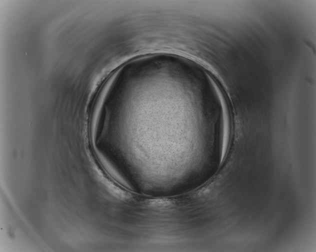 X0000099941525200806061506