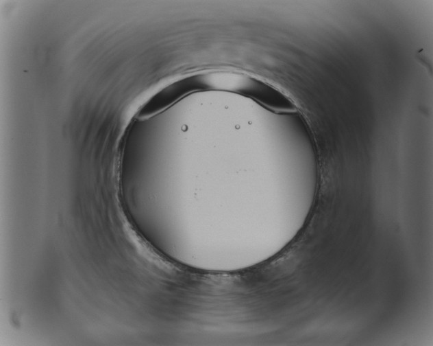 X0000099941526200806061506