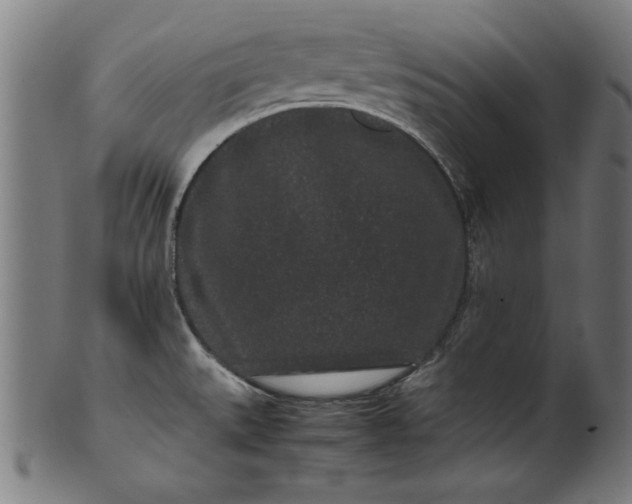 X0000099941527200806061506