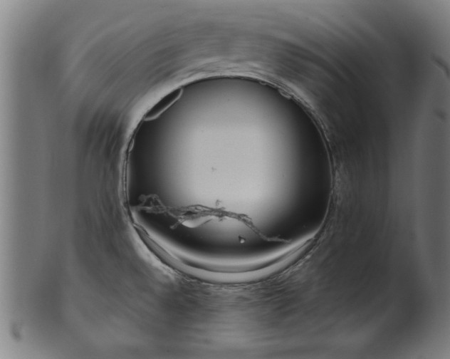X0000099941528200806061506
