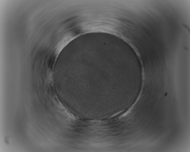X0000099941529200806061506