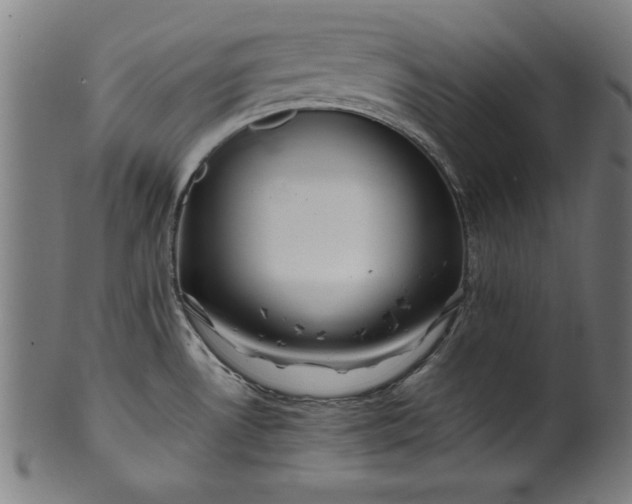 X0000099941530200806061506