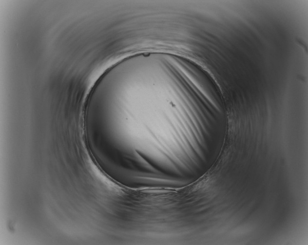 X0000099941531200806061506