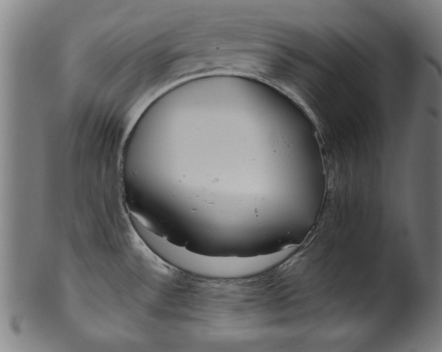 X0000099941532200806061506