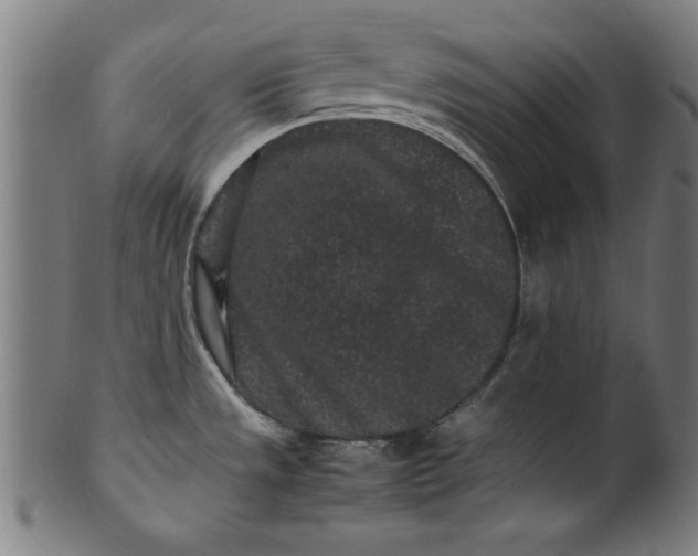 X0000099941533200806061506