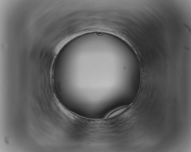 X0000099941535200806061506