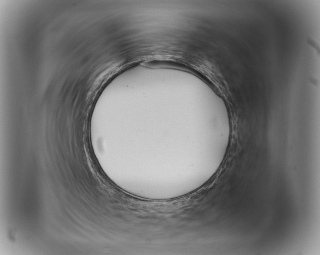 X0000099940001200806131436