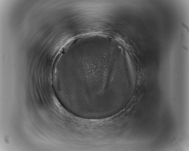 X0000099940002200806131436