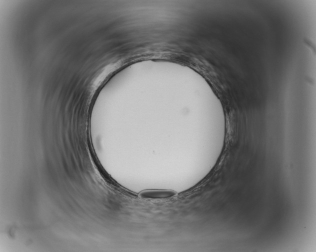 X0000099940003200806131436