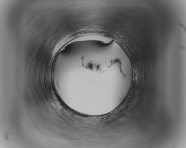 X0000099940004200806131435