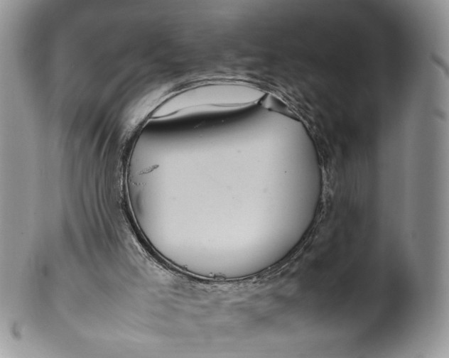 X0000099940005200806131435