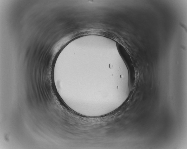 X0000099940006200806131435