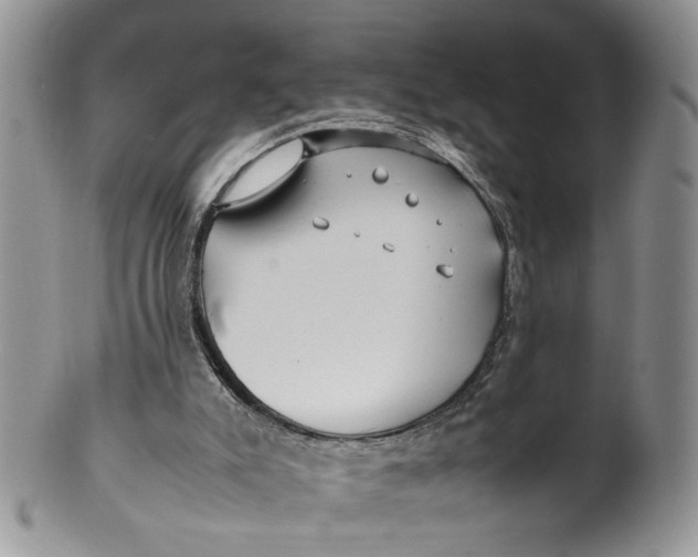 X0000099940007200806131435