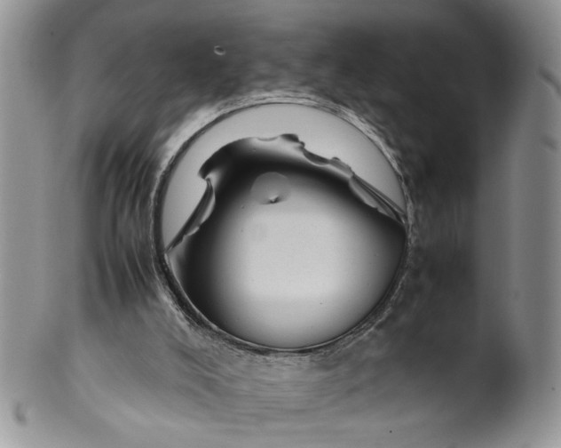 X0000099940008200806131435