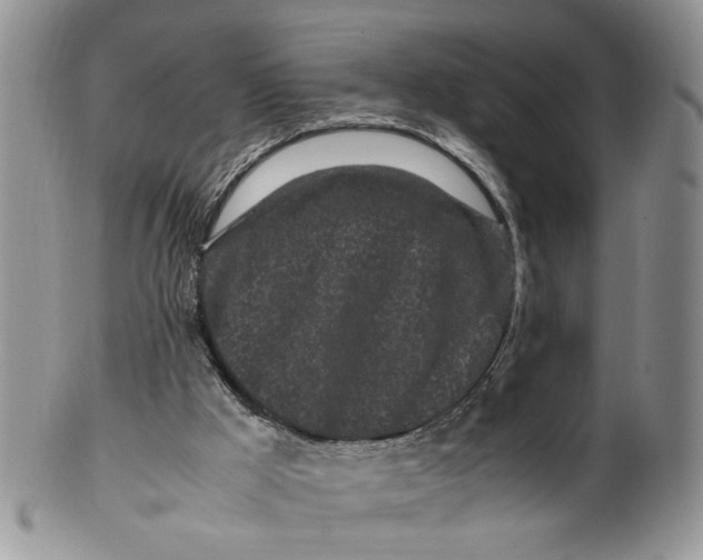 X0000099940009200806131435