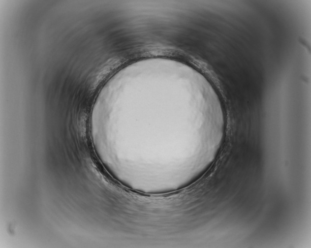 X0000099940010200806131435