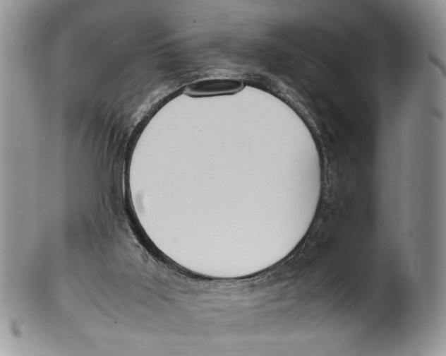 X0000099940011200806131435