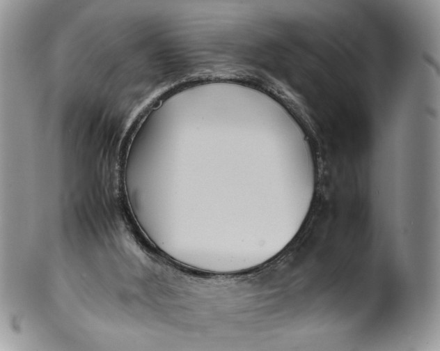 X0000099940012200806131435