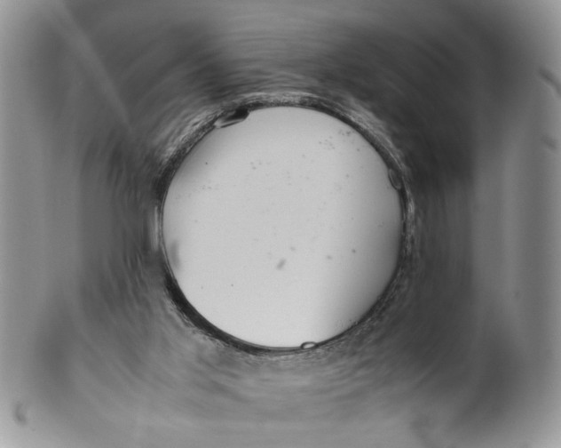 X0000099940013200806131435