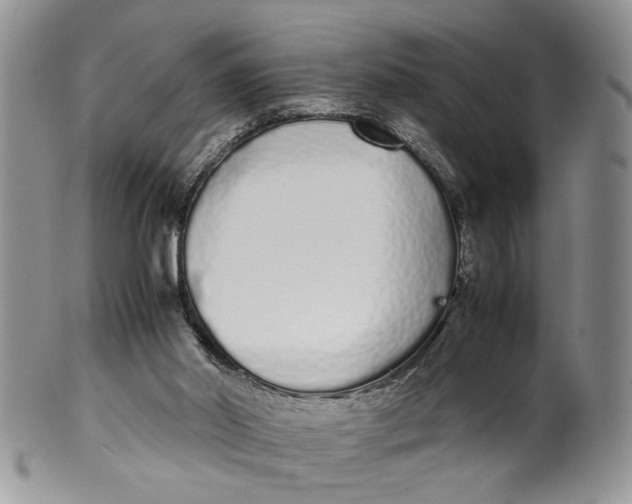 X0000099940014200806131435