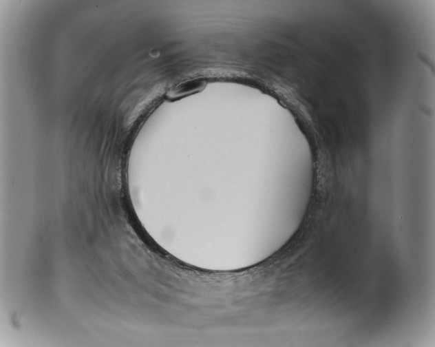 X0000099940015200806131435