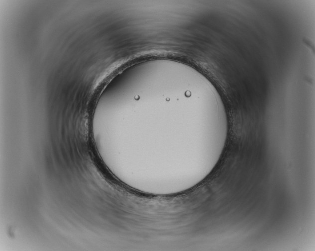 X0000099940016200806131435