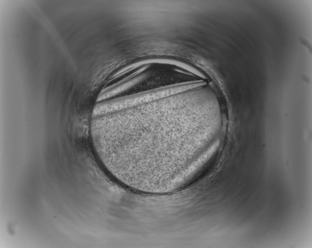 X0000099940017200806131435