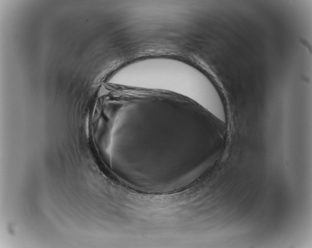 X0000099940019200806131435