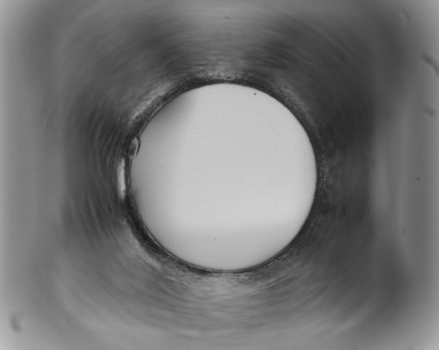 X0000099940020200806131435