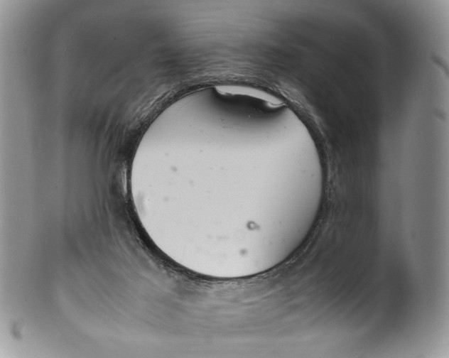 X0000099940021200806131435