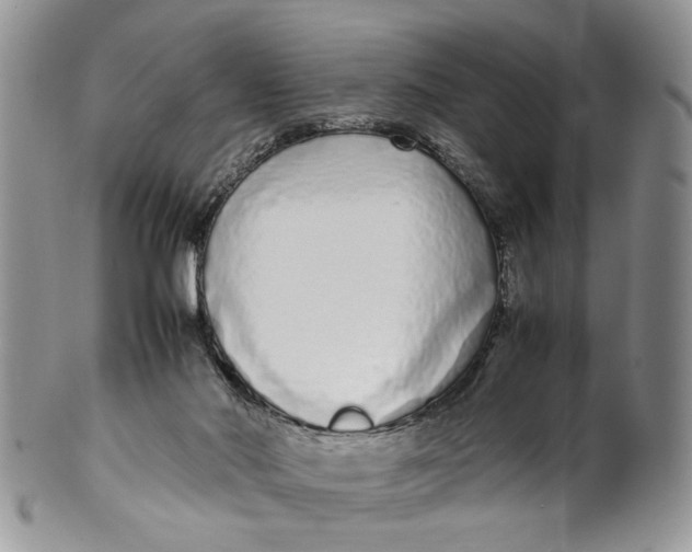 X0000099940022200806131435