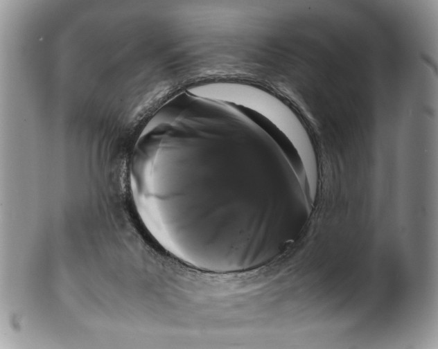 X0000099940023200806131435