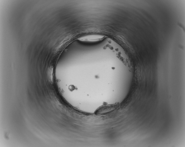 X0000099940024200806131435