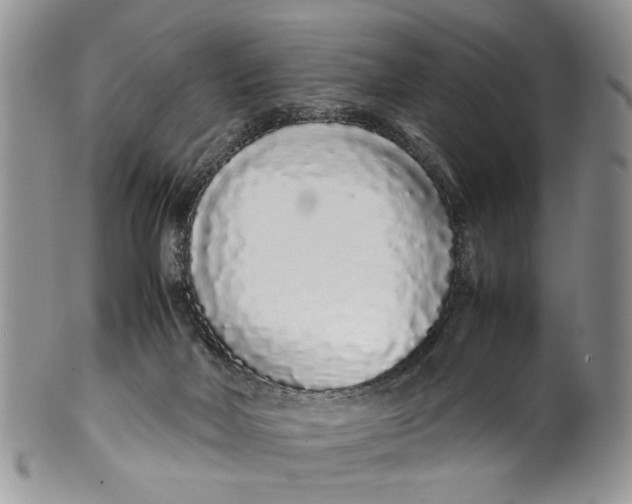 X0000099940026200806131435