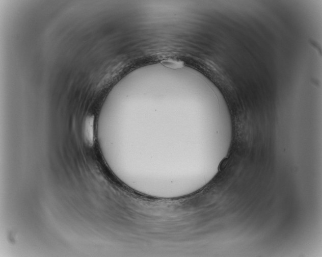 X0000099940028200806131435