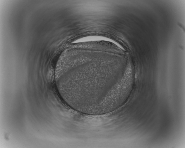 X0000099940029200806131435