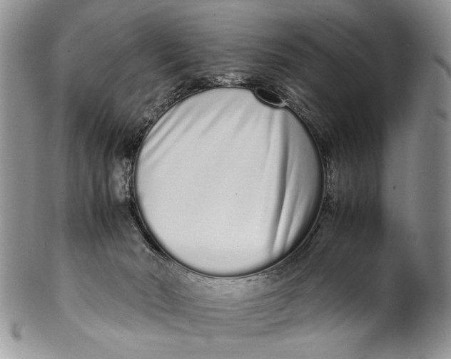 X0000099940030200806131435