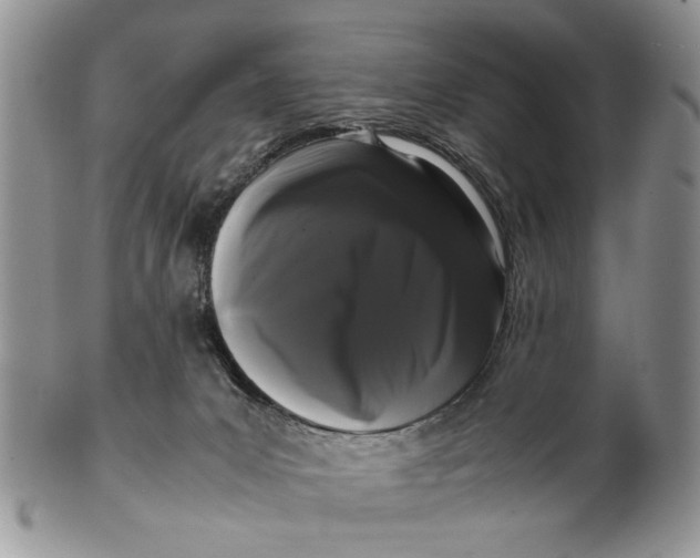 X0000099940031200806131435