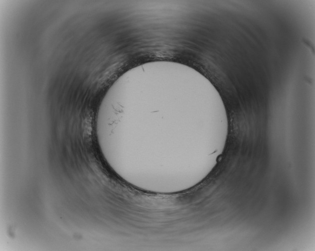 X0000099940032200806131435