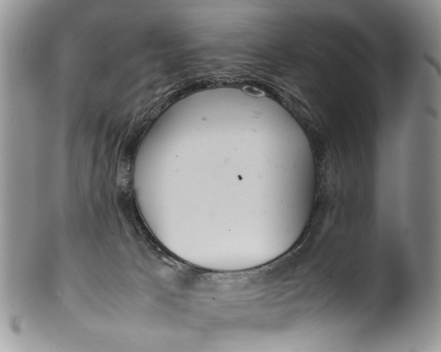 X0000099940033200806131435