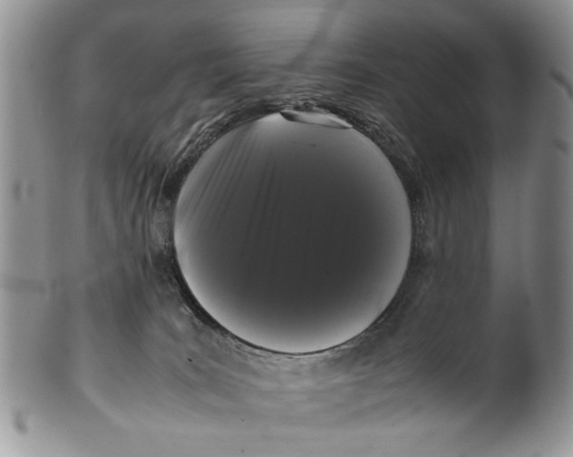 X0000099940035200806131435