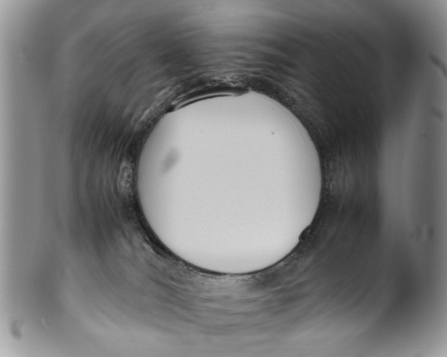 X0000099940036200806131435