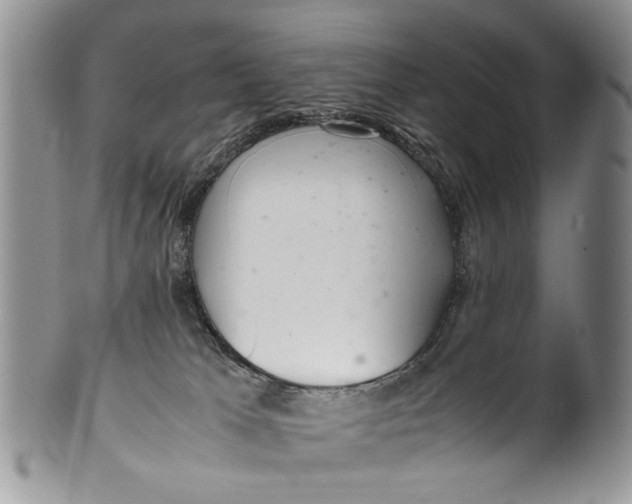 X0000099940037200806131435