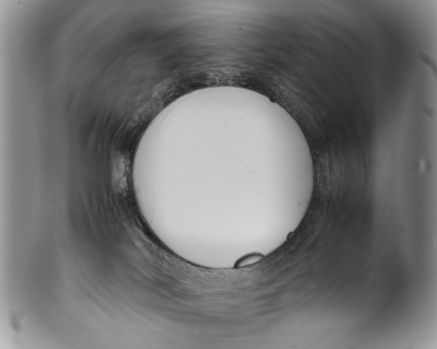 X0000099940038200806131435