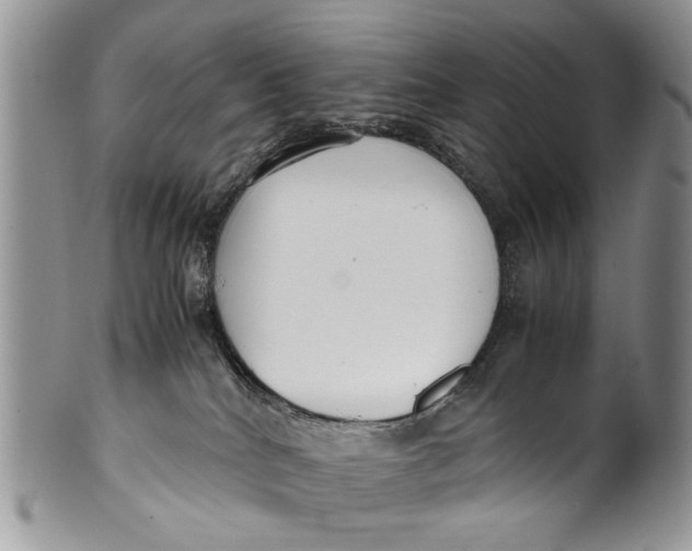 X0000099940040200806131435