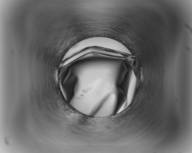 X0000099940041200806131435