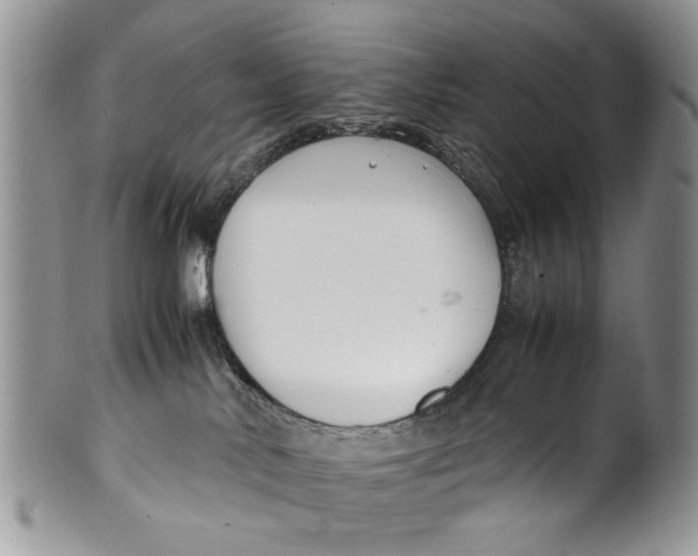 X0000099940042200806131435