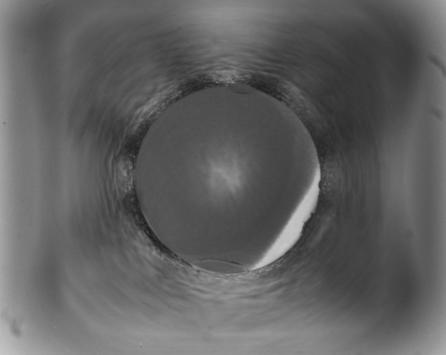 X0000099940043200806131435