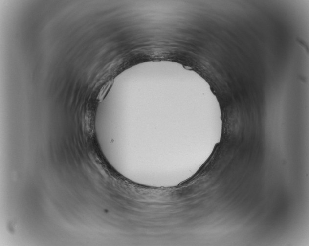 X0000099940044200806131435