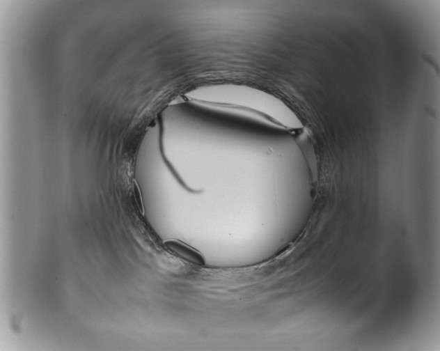 X0000099940045200806131435